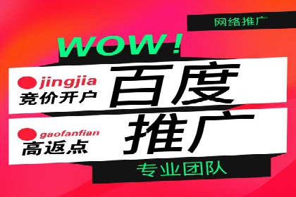 探索SEM代运营公司的经典案例与策略